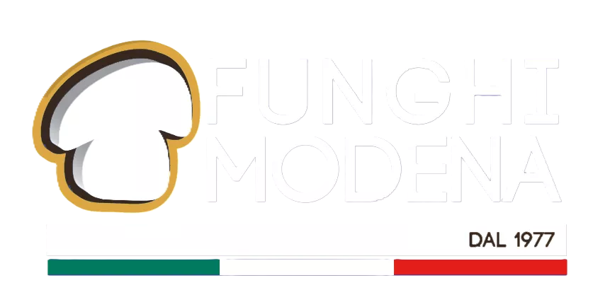 Modena Funghi